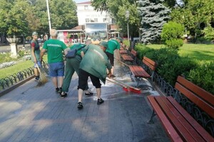 Последствия непогоды: сколько деревьев упали в Одессе и как ликвидируют ЧП фото