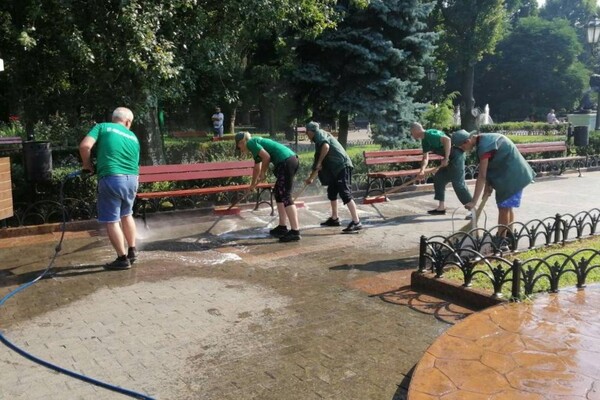 Последствия непогоды: сколько деревьев упали в Одессе и как ликвидируют ЧП фото 2