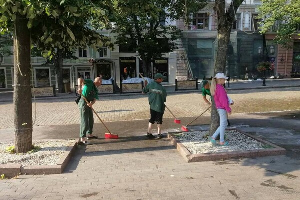 Последствия непогоды: сколько деревьев упали в Одессе и как ликвидируют ЧП фото 4
