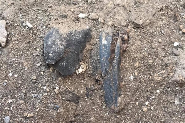 Засекреченные данные и первые находки: как проходят раскопки могильника под Одессой фото 12