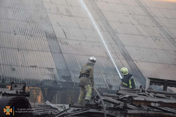 Под Одессой загорелся терминал &quot;ТИС&quot;: выгорели 1 000 квадратных метров фото 2