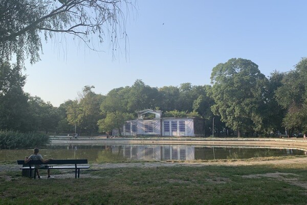Иди смотреть: есть ли положительные изменения в Дюковском парке  фото 37