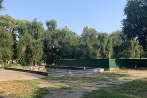 Иди смотреть: есть ли положительные изменения в Дюковском парке  фото 52