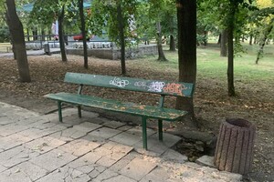 Иди смотреть: есть ли положительные изменения в Дюковском парке  фото 57