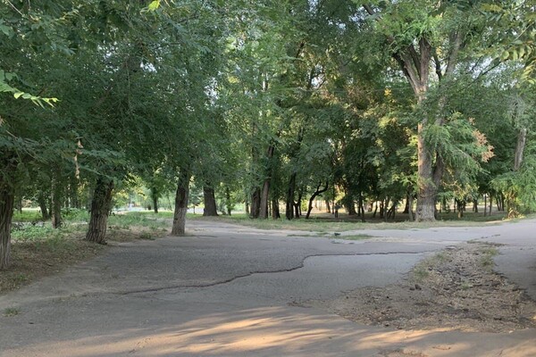 Иди смотреть: есть ли положительные изменения в Дюковском парке  фото 66