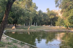 Иди смотреть: есть ли положительные изменения в Дюковском парке  фото 69