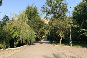 Иди смотреть: есть ли положительные изменения в Дюковском парке  фото 72