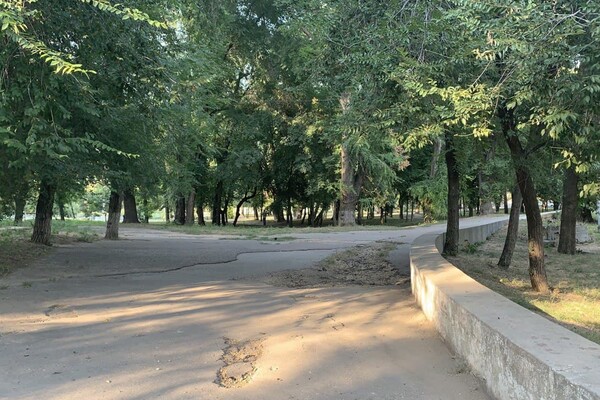 Иди смотреть: есть ли положительные изменения в Дюковском парке  фото 73