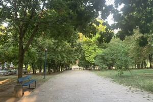Иди смотреть: есть ли положительные изменения в Дюковском парке  фото 77