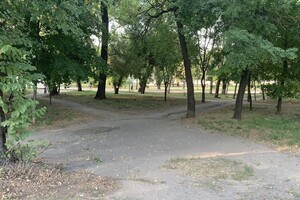 Иди смотреть: есть ли положительные изменения в Дюковском парке  фото 82