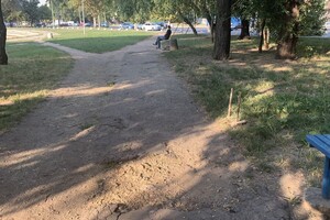 Иди смотреть: есть ли положительные изменения в Дюковском парке  фото 83