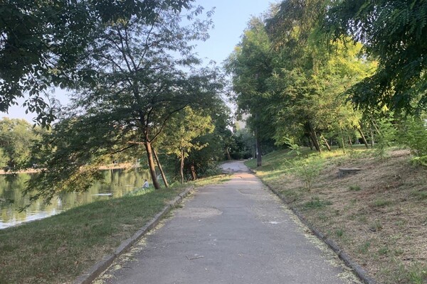 Иди смотреть: есть ли положительные изменения в Дюковском парке  фото 86