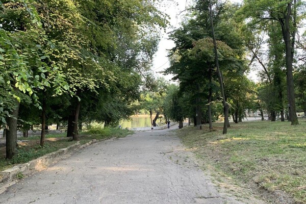Иди смотреть: есть ли положительные изменения в Дюковском парке  фото 93