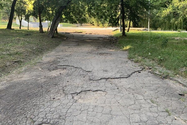 Иди смотреть: есть ли положительные изменения в Дюковском парке  фото 94