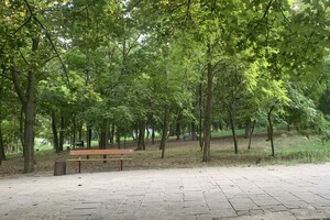 Иди смотреть: есть ли положительные изменения в Дюковском парке  фото 95