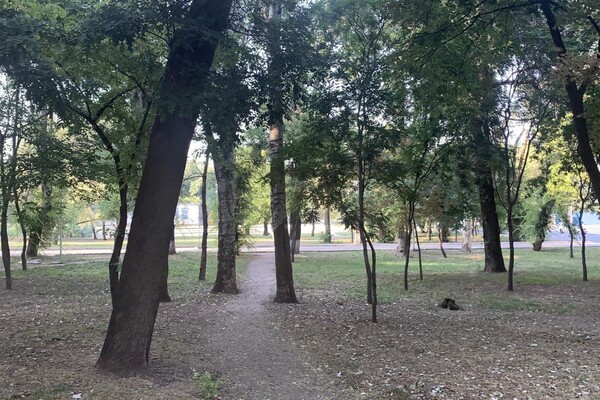 Иди смотреть: есть ли положительные изменения в Дюковском парке  фото 98