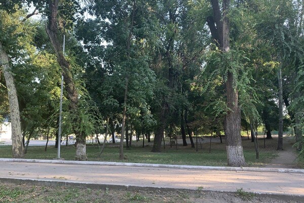 Иди смотреть: есть ли положительные изменения в Дюковском парке  фото 100