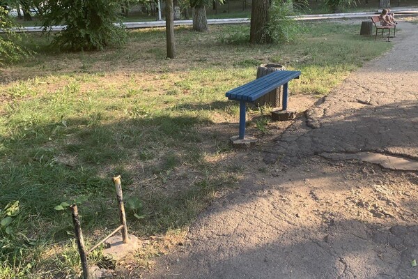 Иди смотреть: есть ли положительные изменения в Дюковском парке  фото 101