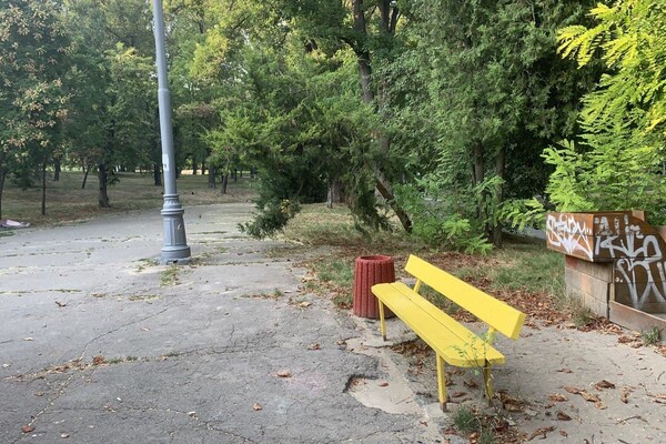 Иди смотреть: есть ли положительные изменения в Дюковском парке  фото 105