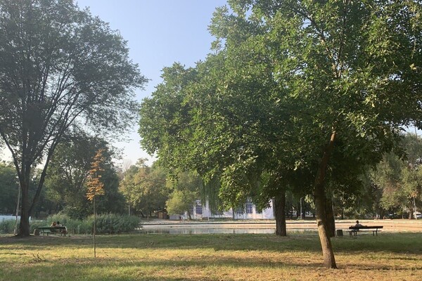 Иди смотреть: есть ли положительные изменения в Дюковском парке  фото 112