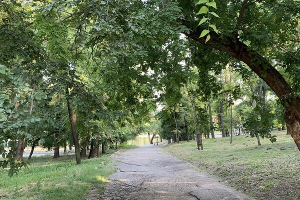 Иди смотреть: есть ли положительные изменения в Дюковском парке  фото 117