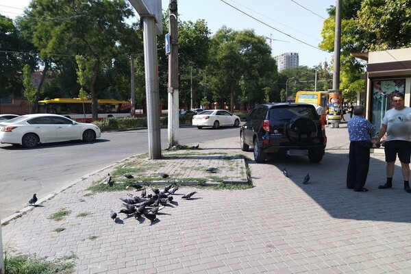 Ни стыда, ни совести: свежая фотоподборка наглых водителей в Одессе фото 3