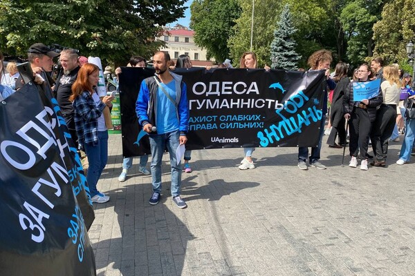 Собрались сотни людей: смотри, как в Одессе проходит Марш в защиту животных фото 1