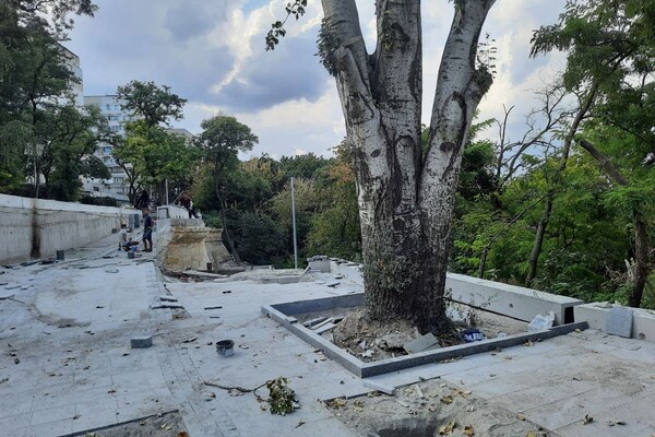 Реконструкция за 142 миллиона: в Одессе открыли еще одну часть бульвара Жванецкого фото 3