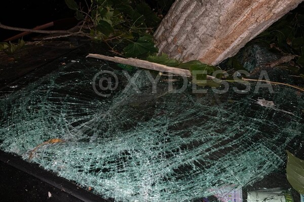 На парковке в Одессе рухнуло дерево: пострадали семь автомобилей (обновлено) фото 6