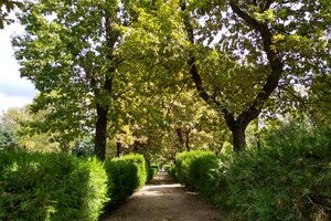Полюбуйся: как выглядит Одесский ботанический сад в конце сентября фото
