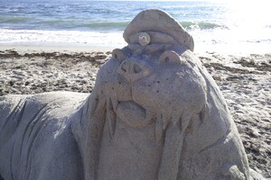 Три тонны песка: на Ланжероне создали самую большую скульптуру моржа фото 2