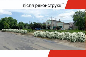 Будут радовать глаз: на въезде в Одессу высадят 16 тысяч кустов спиреи фото 3