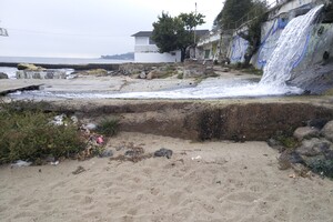 Наплыв водорослей и медуз: пляж &quot;Отрада&quot; сильно загрязнился фото 13