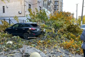 Падают деревья: в Одессе объявили штормовое предупреждение фото