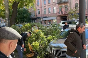 Опасно: в Одессе начался деревопад &ndash; есть пострадавший (обновлено) фото