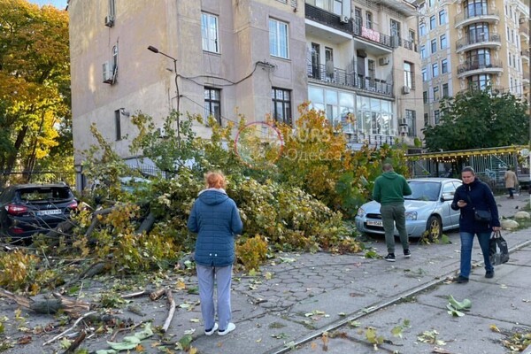 Опасно: в Одессе начался деревопад &ndash; есть пострадавший (обновлено) фото 2