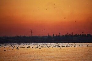 Холодный ноябрь: полюбуйся закатами и рассветами в Одессе фото 1