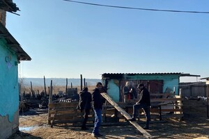 На ферме под Одессой, где сгорели овцы, рассказали подробности пожара фото