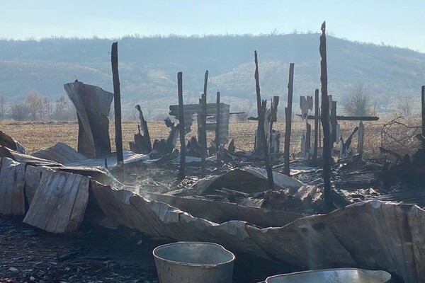 На ферме под Одессой, где сгорели овцы, рассказали подробности пожара фото 1