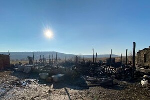 На ферме под Одессой, где сгорели овцы, рассказали подробности пожара фото 4