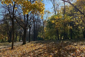 В Одессе реконструируют Дюковский парк фото 2