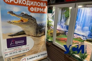 В Одессе зоозащитники вызвали полицию на &quot;ферму с крокодилами&quot; фото 7