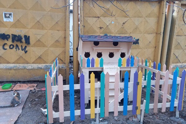 На поселке Котовского одесситы установили теплый домик для котов фото 6