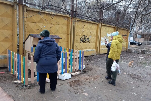 На поселке Котовского одесситы установили теплый домик для котов фото 7