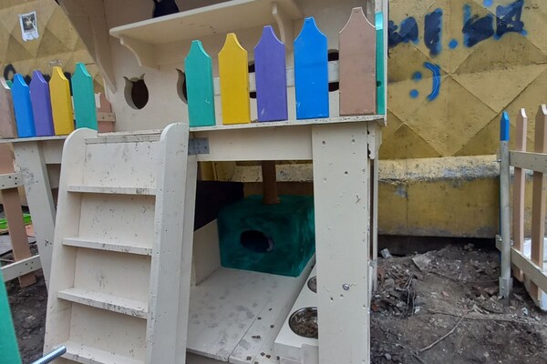 На поселке Котовского одесситы установили теплый домик для котов фото 8