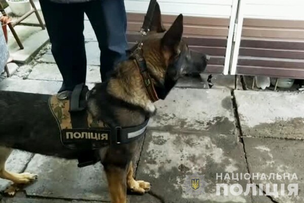 В Одессе мужчина убил свою мачеху кухонным ножом  фото 1