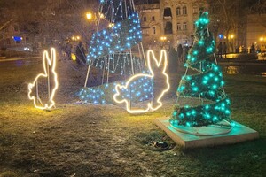 Новогодний лес и огромный подарок: праздничные фотозоны в центре Одессы  фото 1