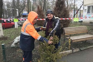 Куда сдать елку после праздников в Одессе: адреса фото 4