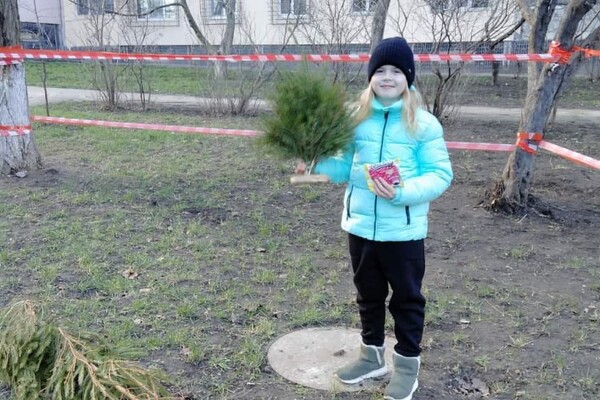 Куда сдать елку после праздников в Одессе: адреса фото 5