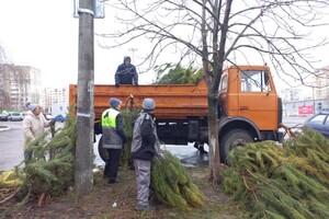 Чтобы не досталось никому: в Одессе торговцы полили брошенные елки солярой фото